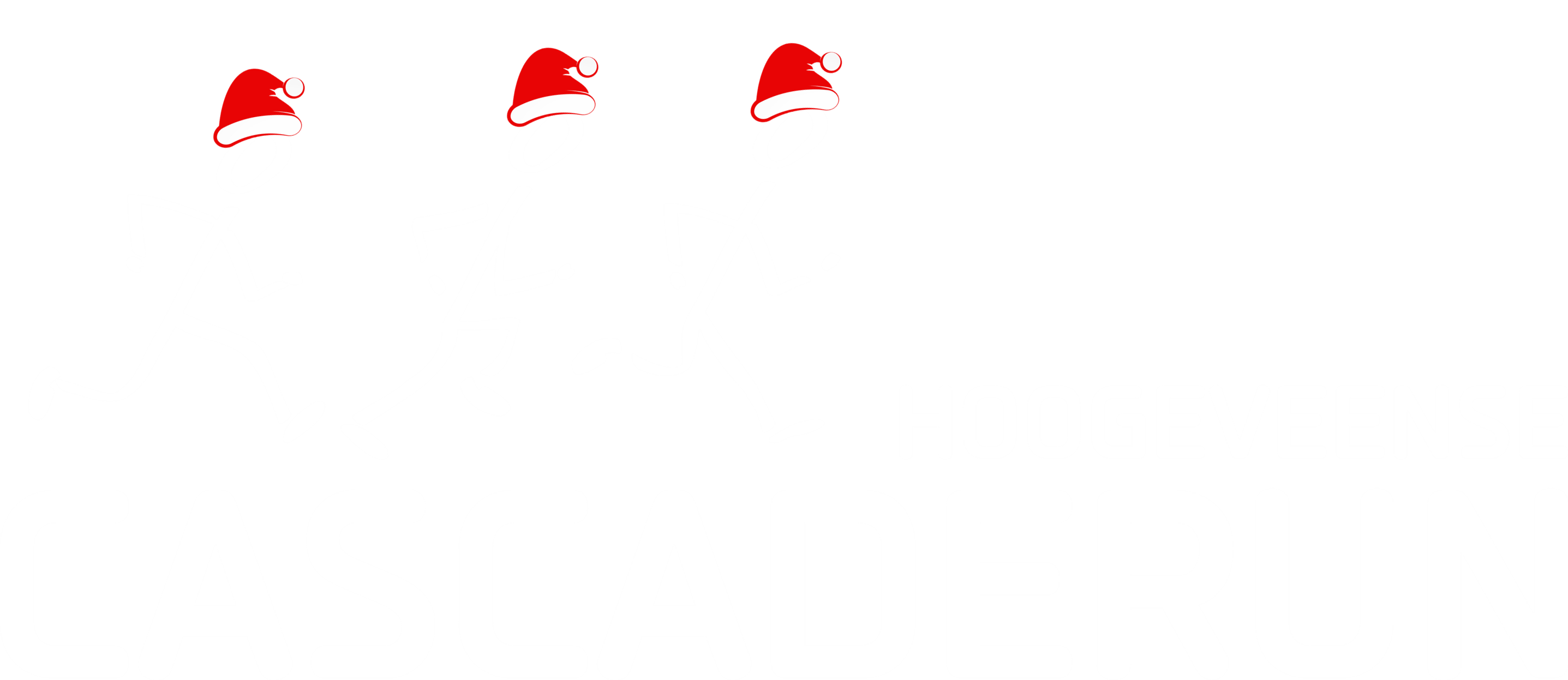 Hoogeveense Cascaderun